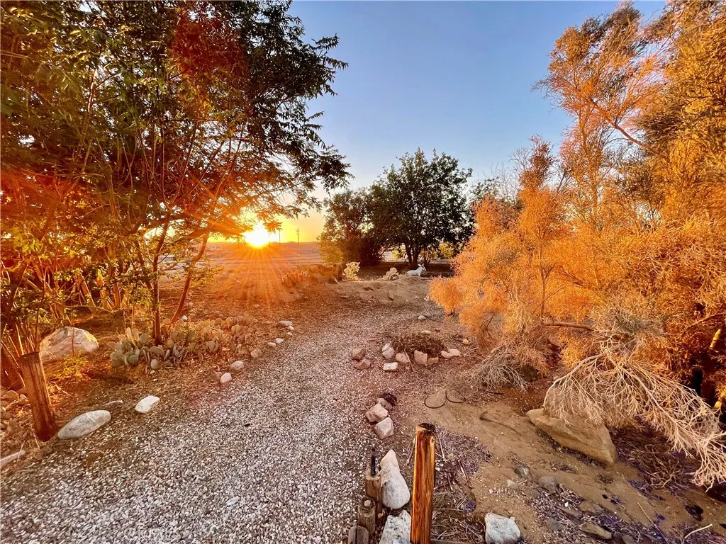 65585 4th S, Joshua Tree, California 92252 home-pic-10