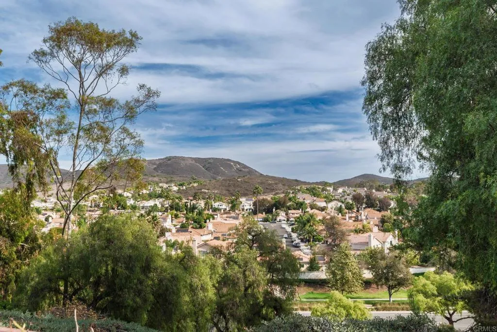 507 Avenida Blanco, San Marcos, California 92069 home-pic-3