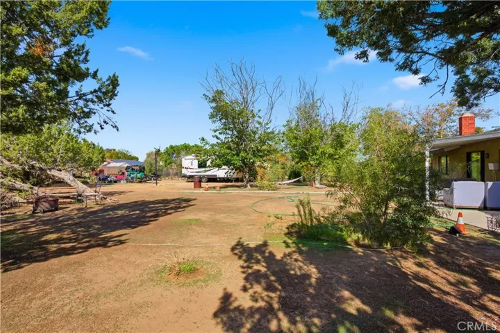 Backyard 1
