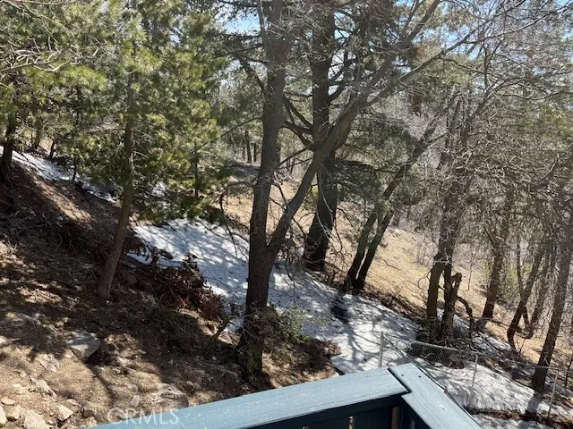 Snowy backyard#1