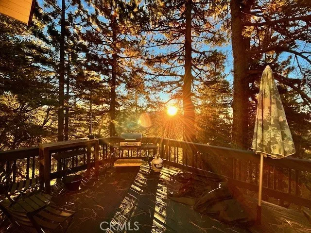 Experience a mountain sunrise through the trees