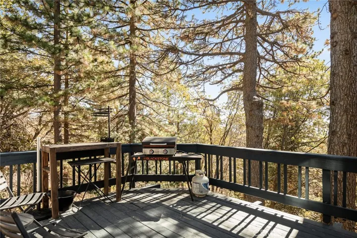 Deck off of living room #3 All wooded