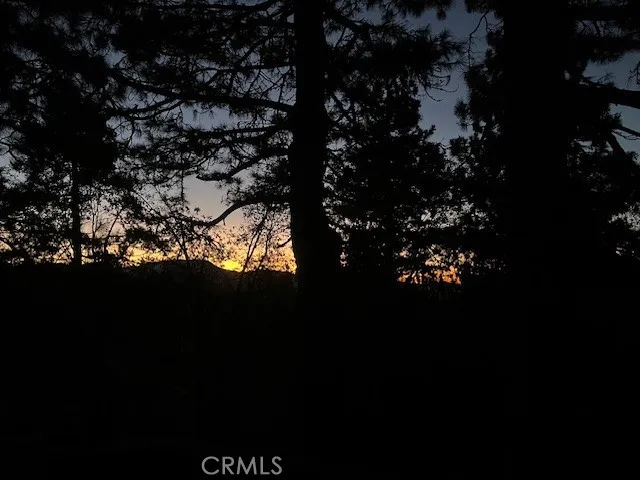Early morning on the deck