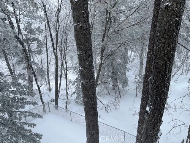 Snowy backyard#2