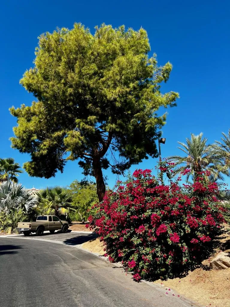 77310 Colorado Street, Palm Desert, California 92211 home-pic-39