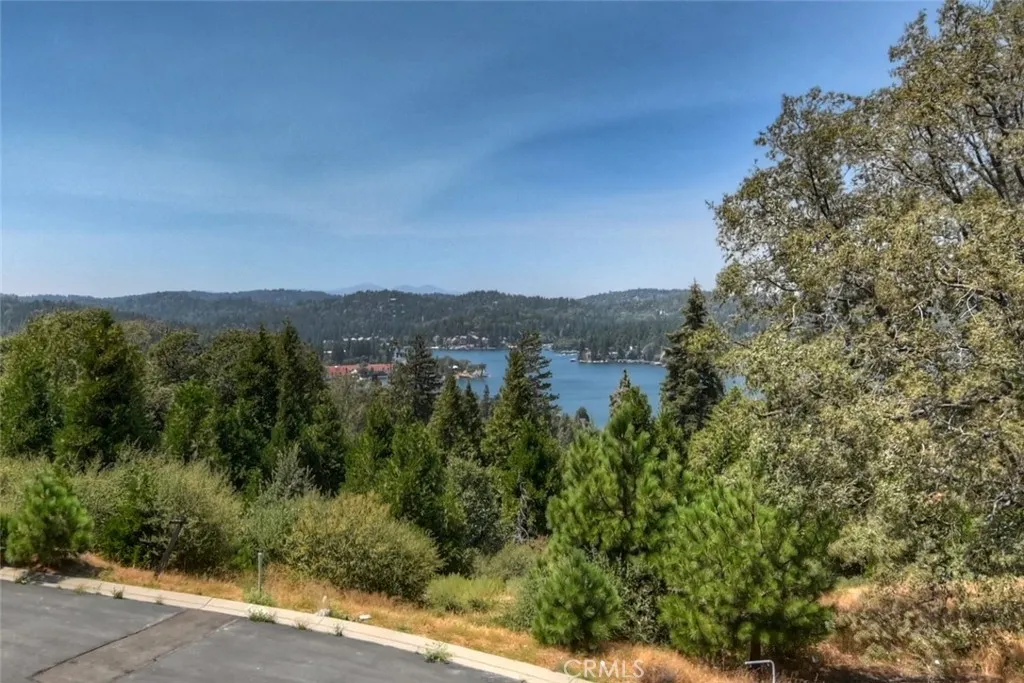 176 Mill Pond, Lake Arrowhead, California 92352 home-pic-8