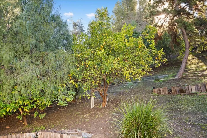 4800 Via Del Agua, Yorba Linda, California 92887