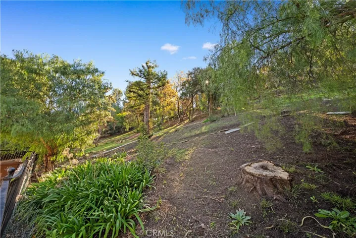 4800 Via Del Agua, Yorba Linda, California 92887
