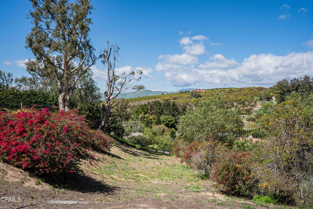 6065 Cielo Vista Court, Camarillo, California 93012 home-pic-56