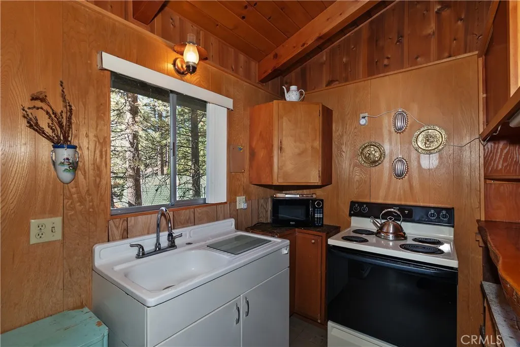 33401 Wild Rose, Green Valley Lake, California 92341 home-pic-10