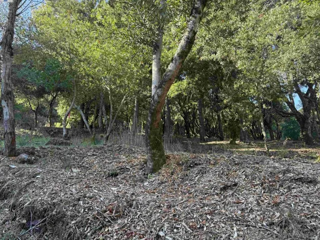0 Vista Del, Orinda, California 94563