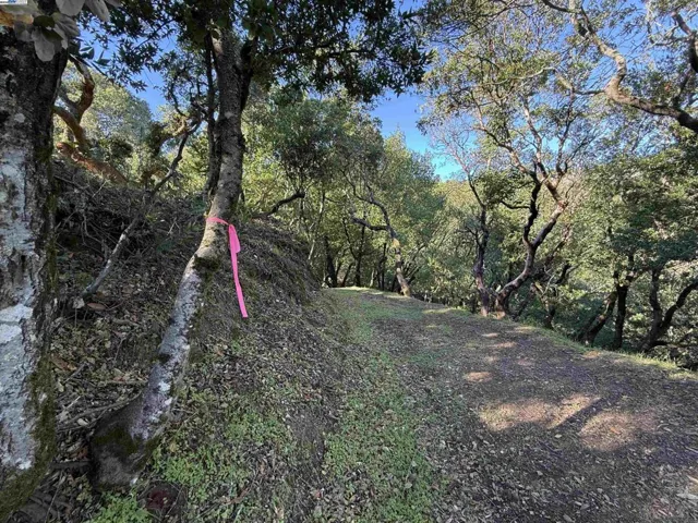 0 Vista Del, Orinda, California 94563
