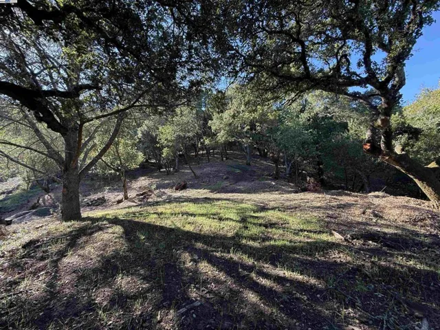 0 Vista Del, Orinda, California 94563
