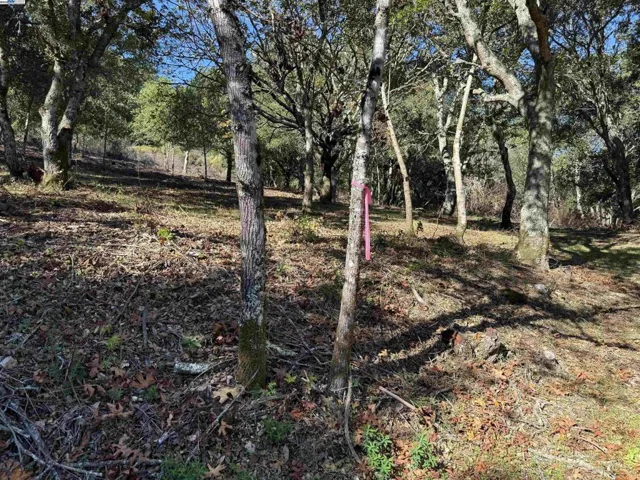 0 Vista Del, Orinda, California 94563