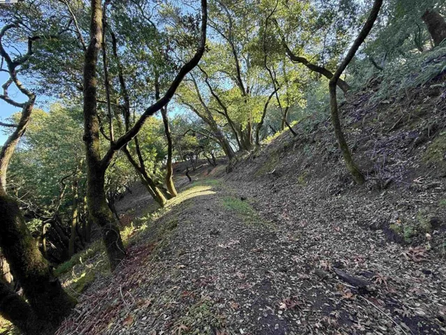 0 Vista Del, Orinda, California 94563