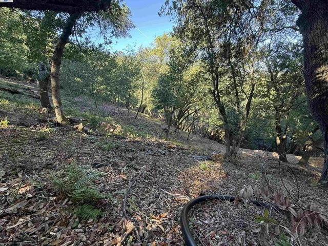 0 Vista Del, Orinda, California 94563