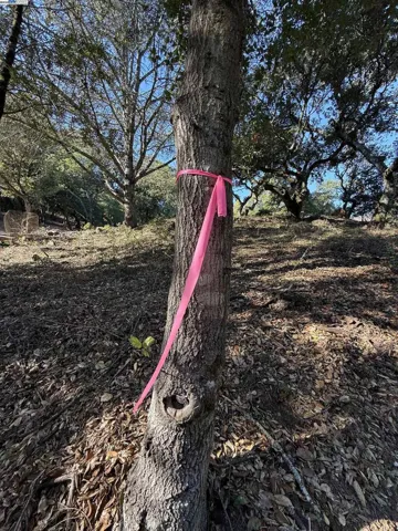Pink ties indicate part of the parcel.