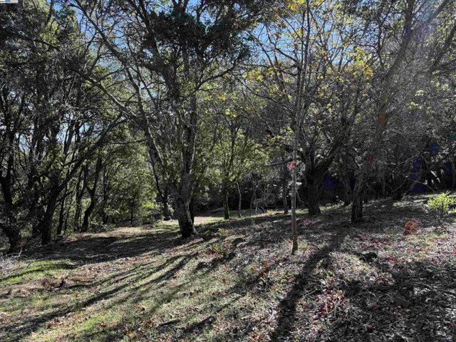 0 Vista Del, Orinda, California 94563