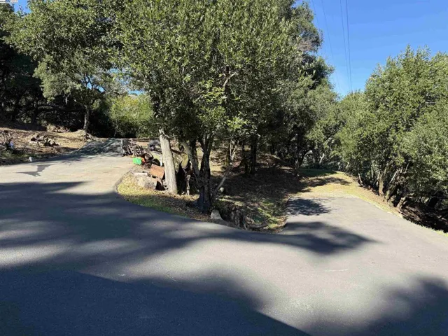 Split Driveway for access to the upper and lower lots