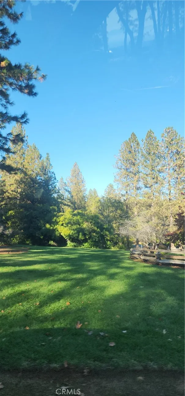 Grounds