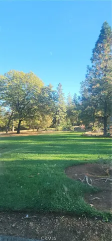 Lawns and common areas