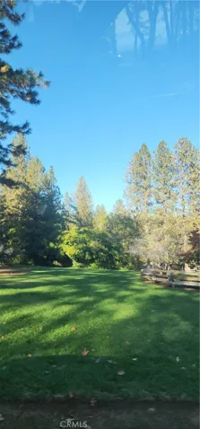 Grounds