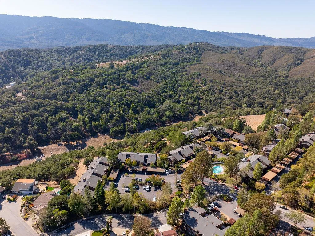 3350 La Mesa Drive 10, San Carlos, California 94070 home-pic-46