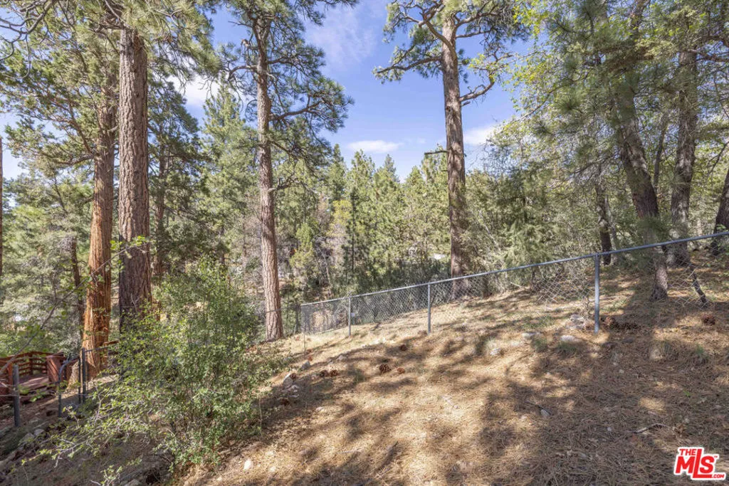 44185 Timron Lane, Big Bear, California 92386 home-pic-11