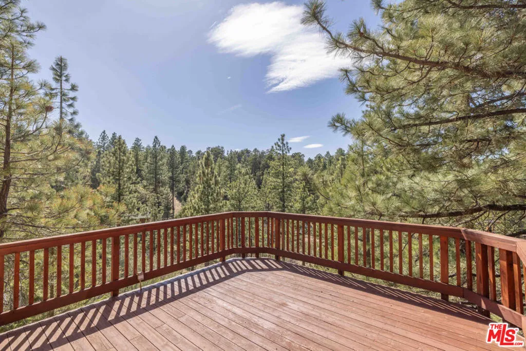 44185 Timron Lane, Big Bear, California 92386 home-pic-17