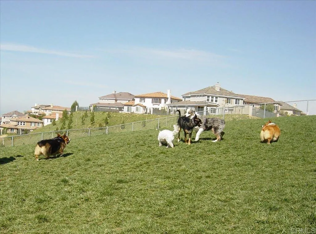 1213 Baker Street, San Marcos, California 92078 home-pic-34