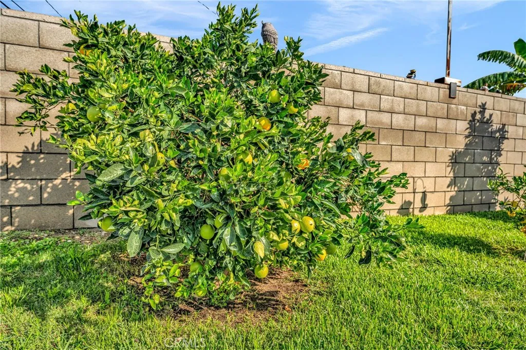 4266 Berkeley, Montclair, California 91763 home-pic-44