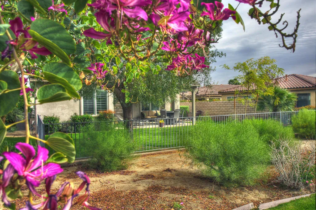 82087 Hopkins Drive, Indio, California 92201 home-pic-37