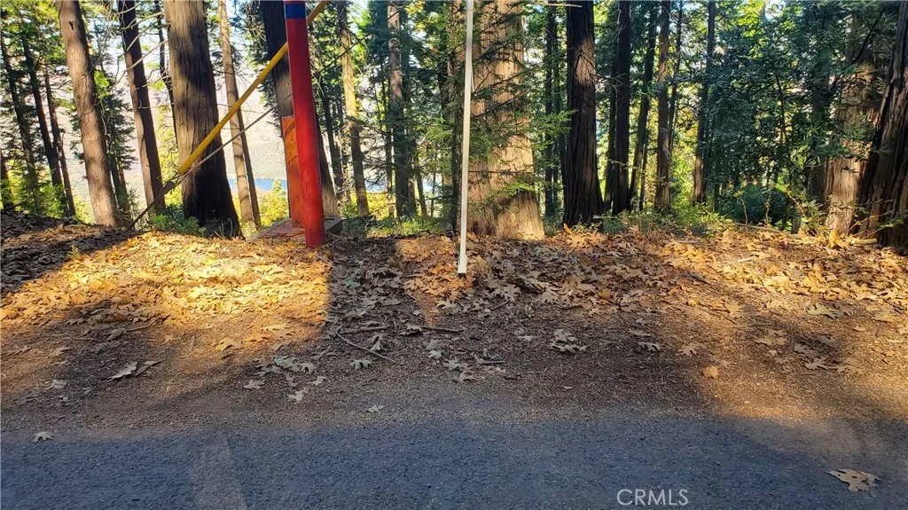 Electricity pole shown her is currently in use for the neighbors.  Buyer to verify who can use this pole for service.