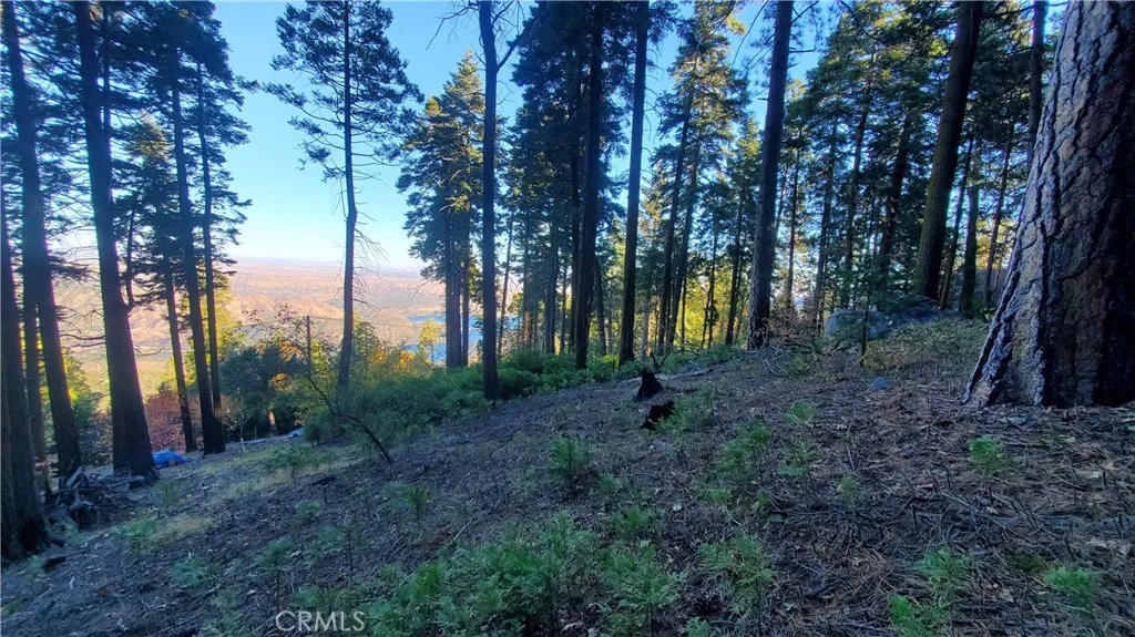 Partially treed lot with a Silverwood Lake View.  Location location location.