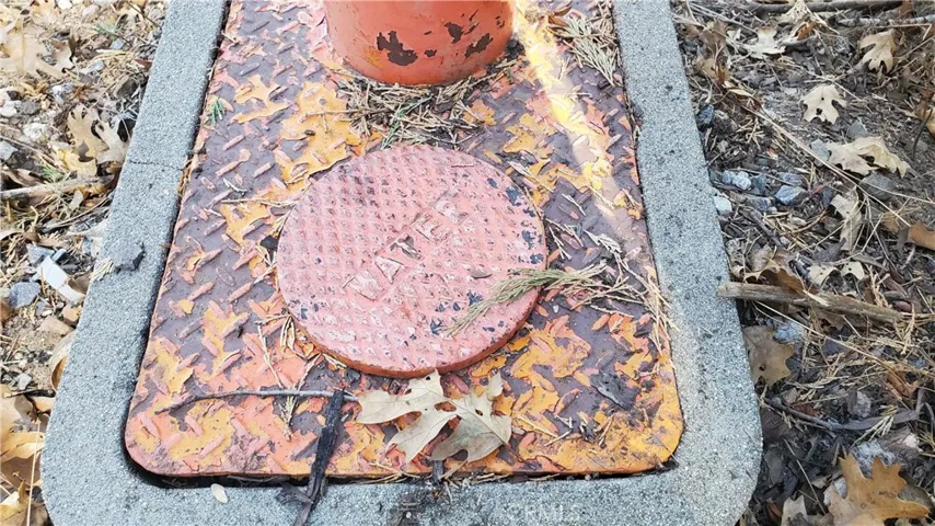 Water meter on this property, not sure if it belongs to the neighbor next door.