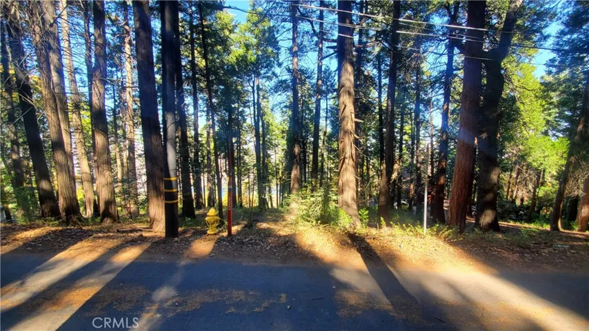 Tree lined street.  Paved road.