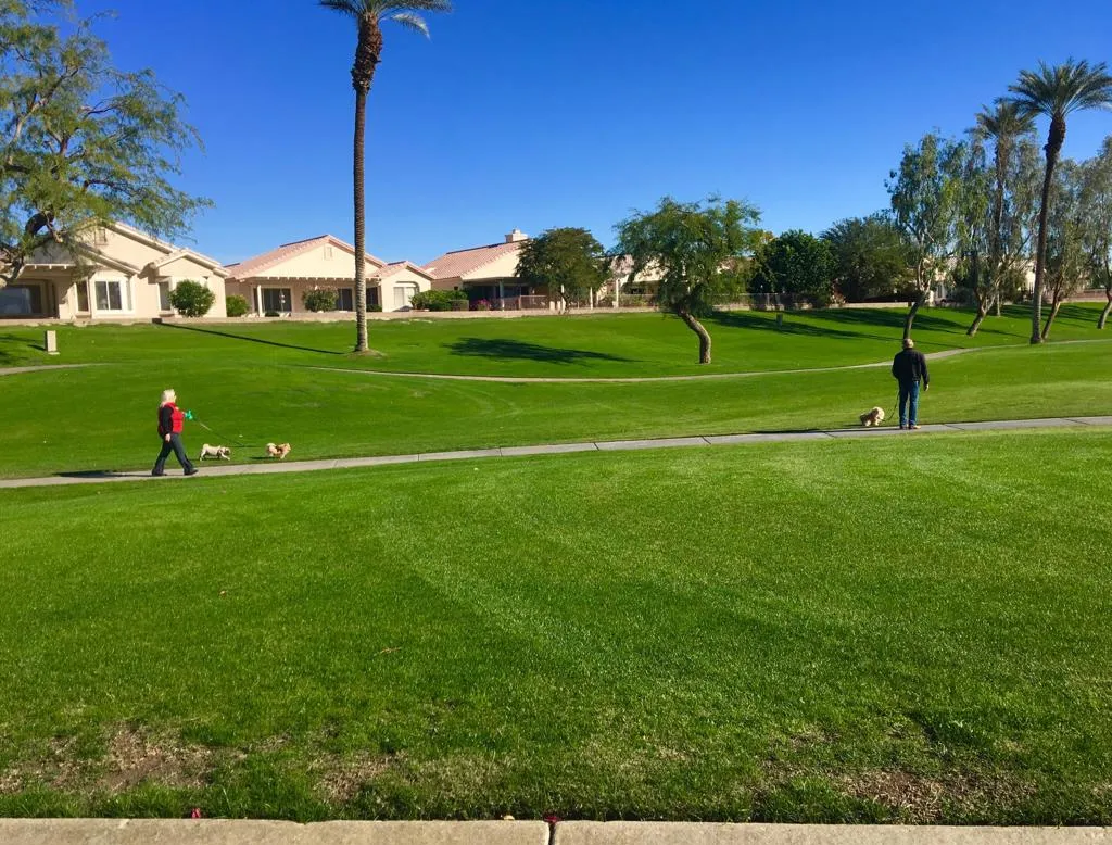 35882 Royal Sage Court, Palm Desert, California 92211 home-pic-57