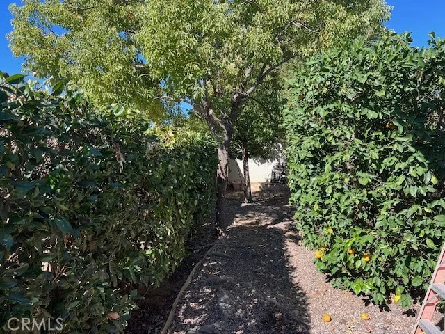 581 Dorothy Anna, Banning, California 92220 home-pic-28