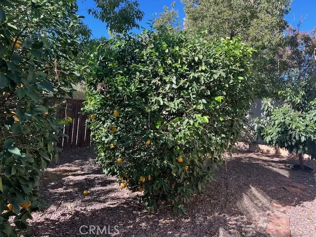 581 Dorothy Anna, Banning, California 92220 home-pic-27