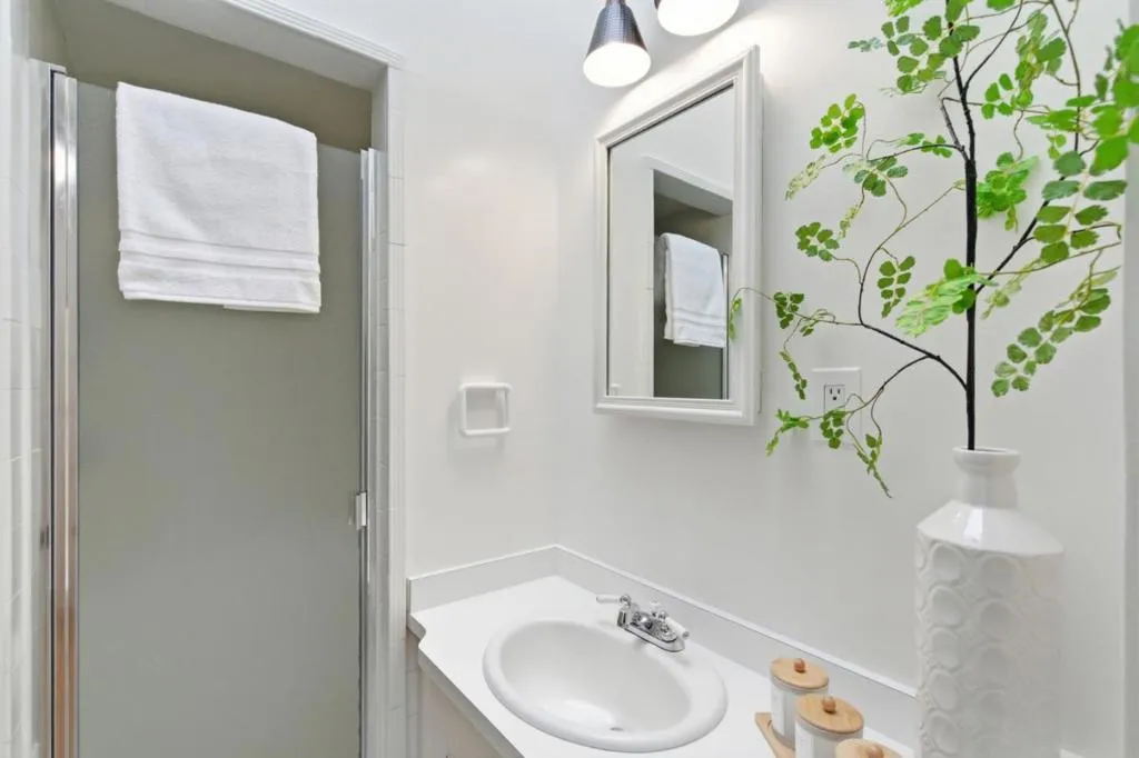 467 Holly Avenue, South San Francisco, California 94080 home-pic-25