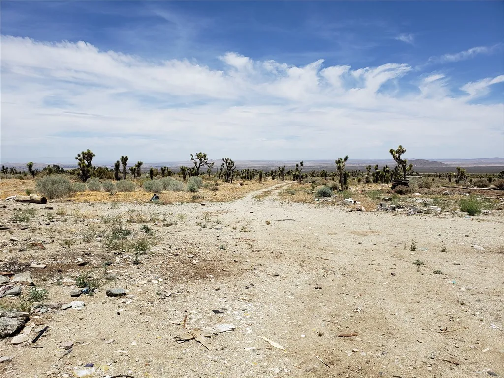20649 E Avenue Y, Llano, California 93544 home-pic-11
