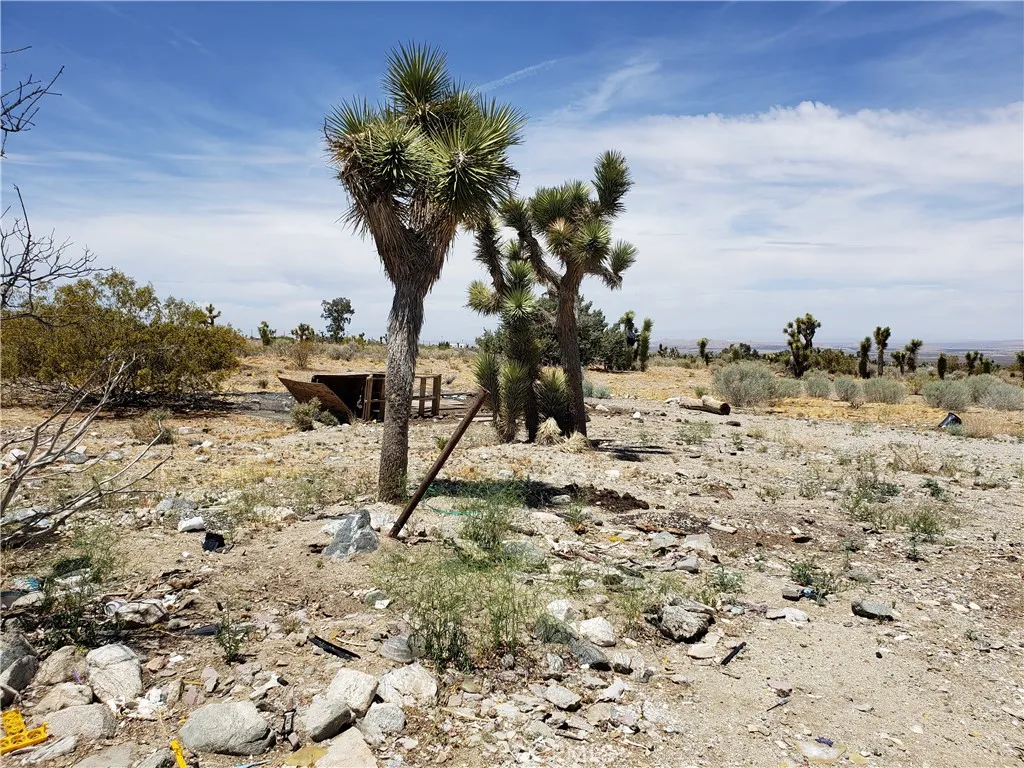 20649 E Avenue Y, Llano, California 93544 home-pic-10