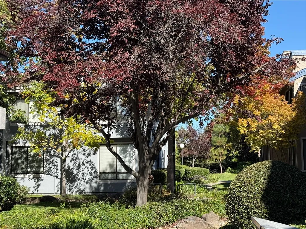 6452 Buena Vista, Newark, California 94560 home-pic-3