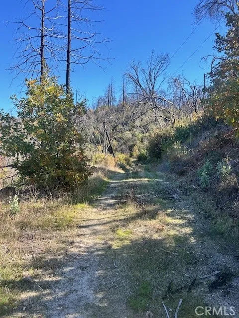 property has some other roads cut into it