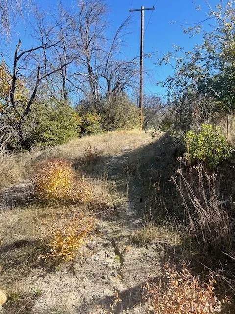 Another road cut into the property