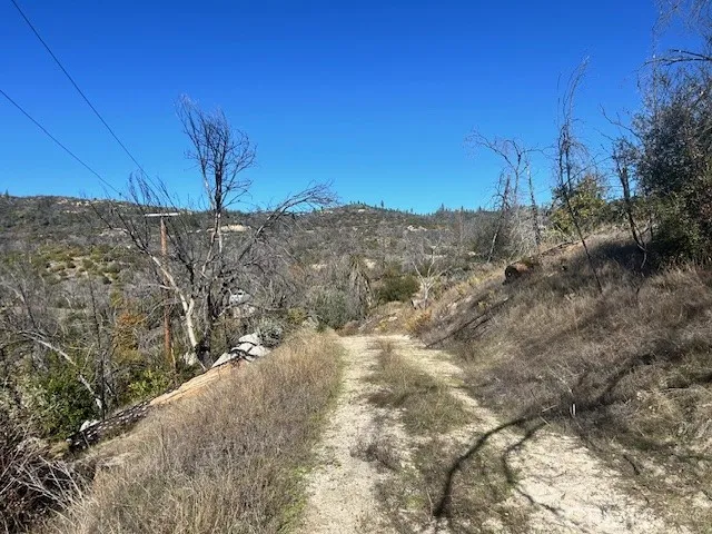 Power poles on property, owner says some of the property goes down the side of this hill almost to the creek.