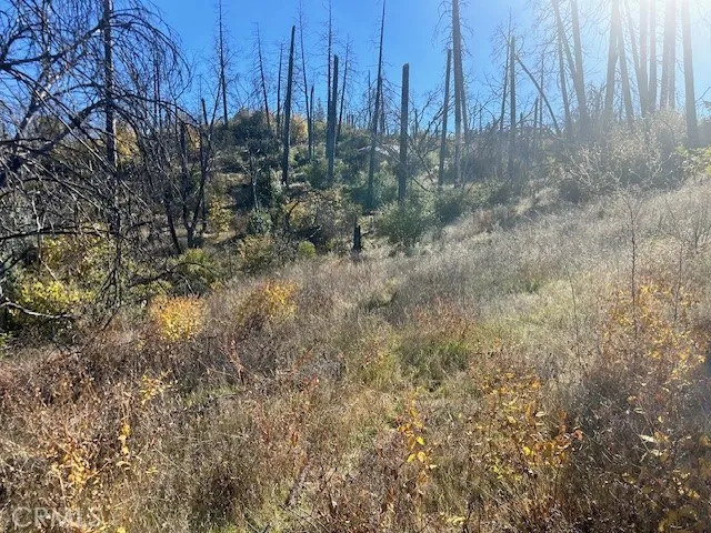 Wide open spaces with plenty of sun very secluded here peaceful...