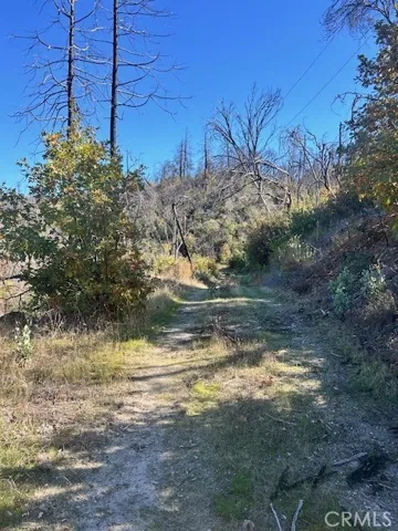property has some other roads cut into it