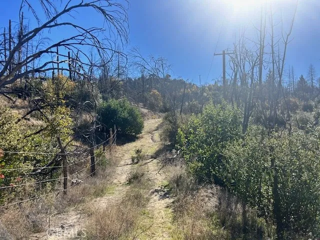 Sellers  property does include the road.