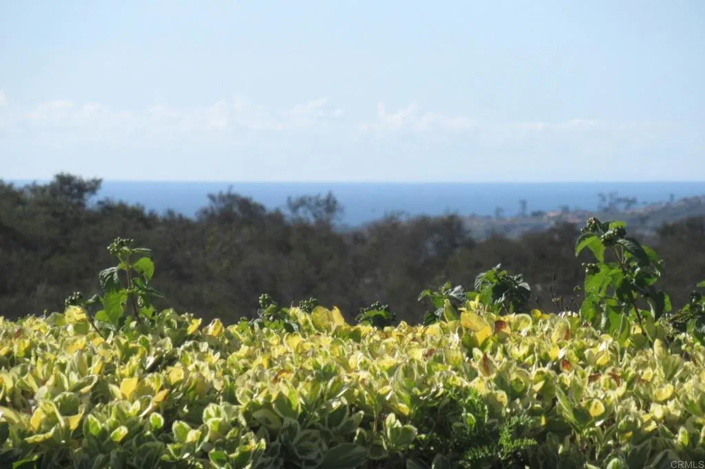 4125 Arcadia Way, Oceanside, California 92056 home-pic-1